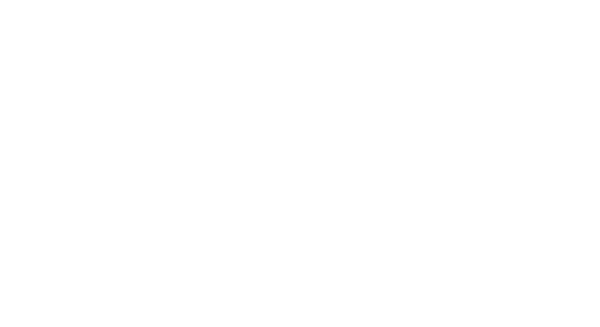 logo QJ MOTOR